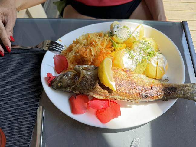 Restauracja Browar "Zielone Wzgórze" - Gastronomia