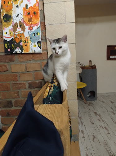 Dworcowa 3/20, 41-902 Bytom