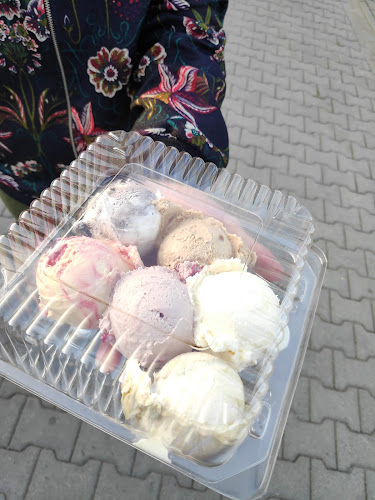 Opinii despre Lodziarnia Pingwinek în Zgłobice - Gastronomia