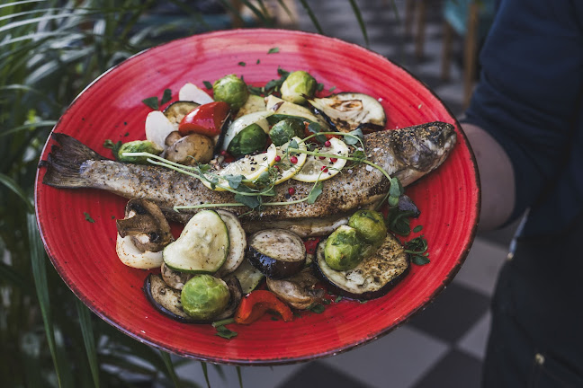 Opinii despre Messa Pub & Restaurant în Kamień Pomorski - Gastronomia