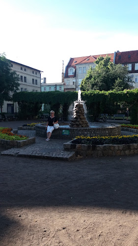 Comentarii opinii despre Napoli. Pizzeria