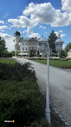 Restauracja Lala w Pałacu Brunów - Gastronomia