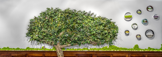 Lovely Moss - Gastronomia