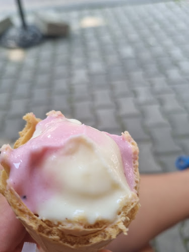 Lody Tradycyjne. W. Bachta - Gastronomia