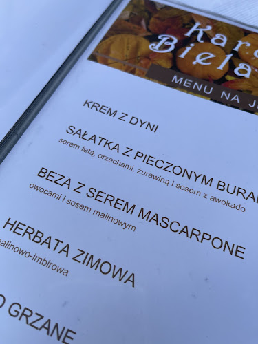 Restauracja Karuzel Bielański - Gastronomia