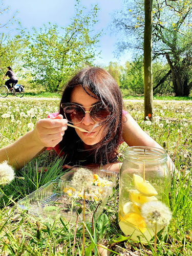 Restauracja Dmuchawce - Gastronomia