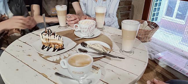 Kocia Kawiarnia „Koci Gościniec”/dla miłośników kotow/adopcja kota