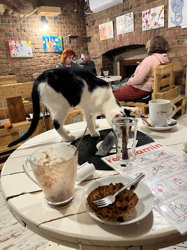 Kocia Kawiarnia „Koci Gościniec”/dla miłośników kotow/adopcja kota - Gastronomia