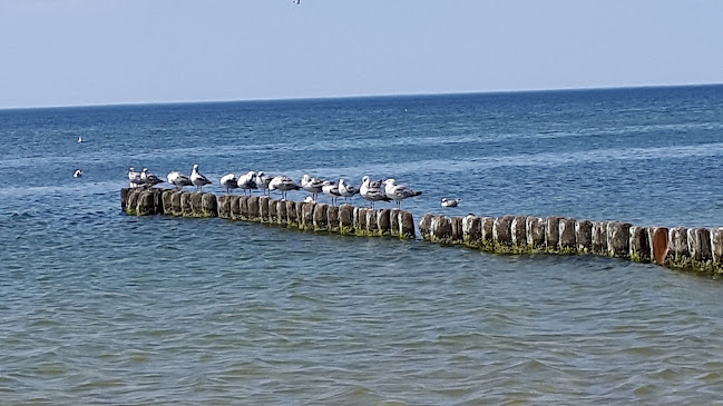 Międzyzdroje Rezydencja Park Ul.Ksiazat POM 10 - Międzyzdroje