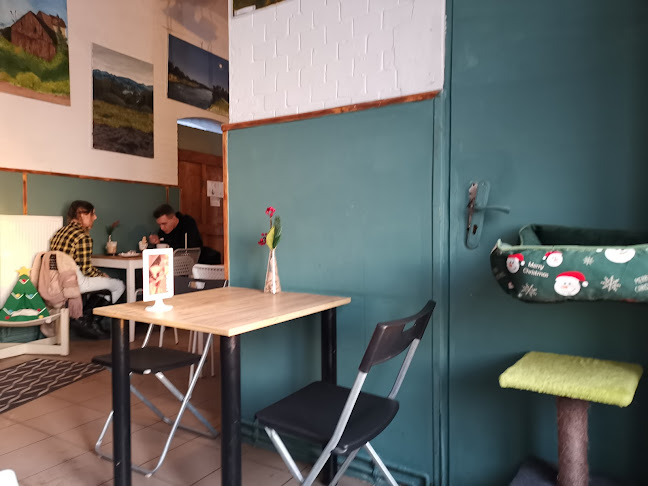 Kocia Kawiarnia Mruczkowo - Gliwice(7+) - Gastronomia