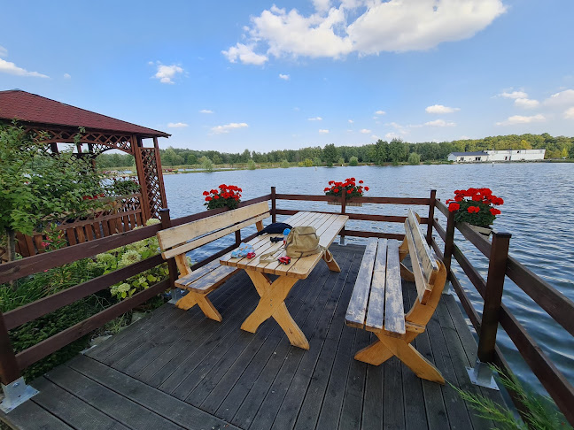 Comentarii opinii despre Smażalnia Ryb Chościszowice