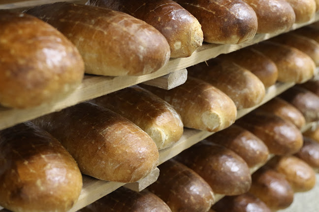 Domaradz 318, 36-230 Domaradz