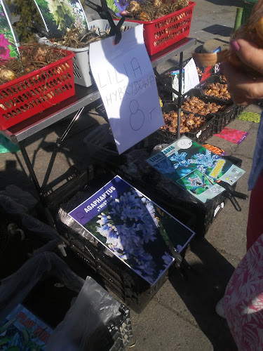 Nowy Rynek, 64-100 Leszno