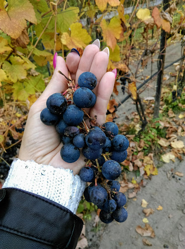 Poniatowskiego 53, 41-407 Imielin