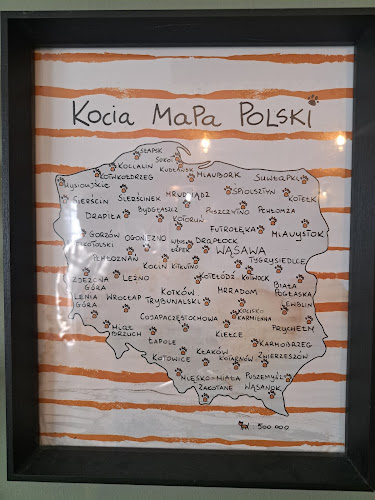 Kocia Kawiarnia Mruczkowo - Gliwice(7+)