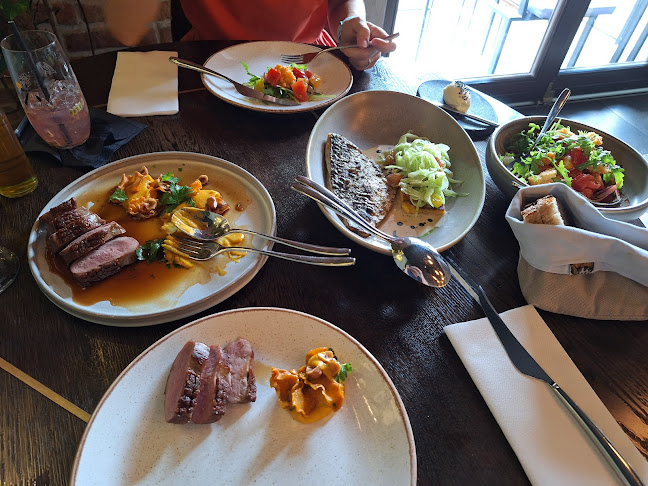 Comentarii opinii despre FOLGA