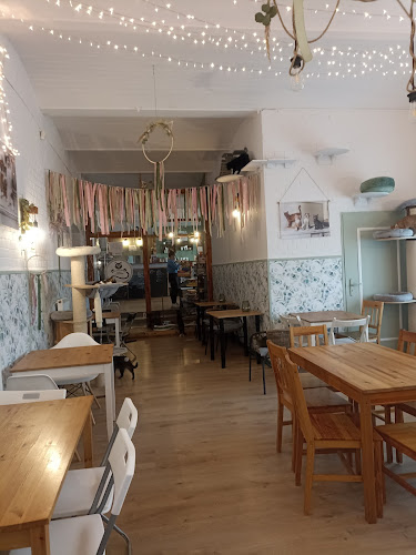 Comentarii opinii despre Kocia Kawiarnia Mruczkowo - Gliwice(7+)