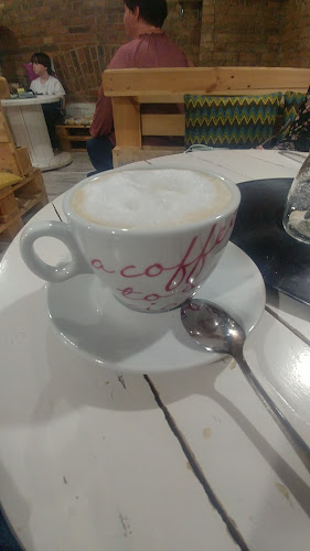 Kocia Kawiarnia „Koci Gościniec”/dla miłośników kotow/adopcja kota - Gastronomia