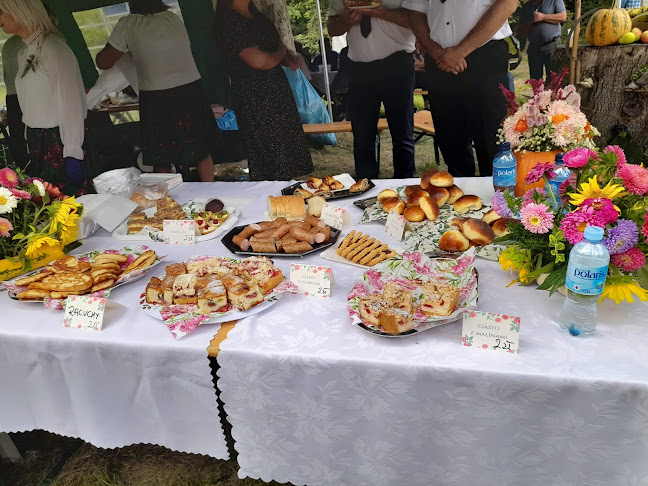 Lody Tradycyjne. W. Bachta