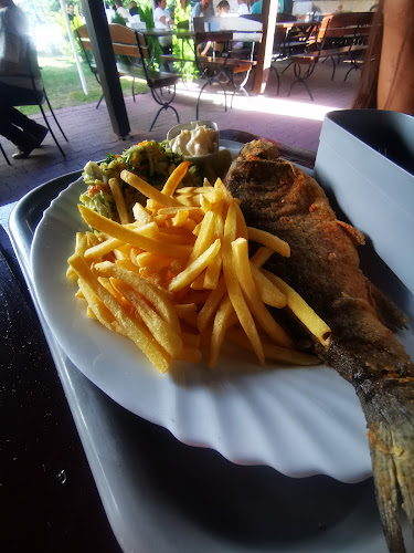 Comentarii opinii despre Bar Pod Samolotem