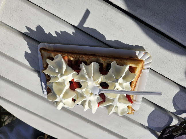 Comentarii opinii despre Bar Wodnik