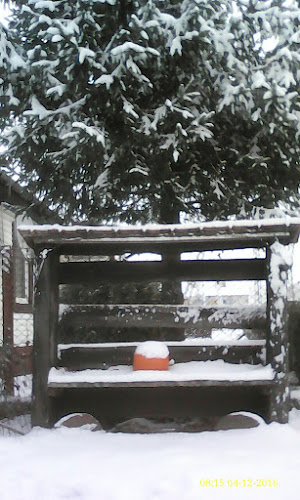 Opinii despre Rynek Miejski în Wysokie Mazowieckie - Gastronomia