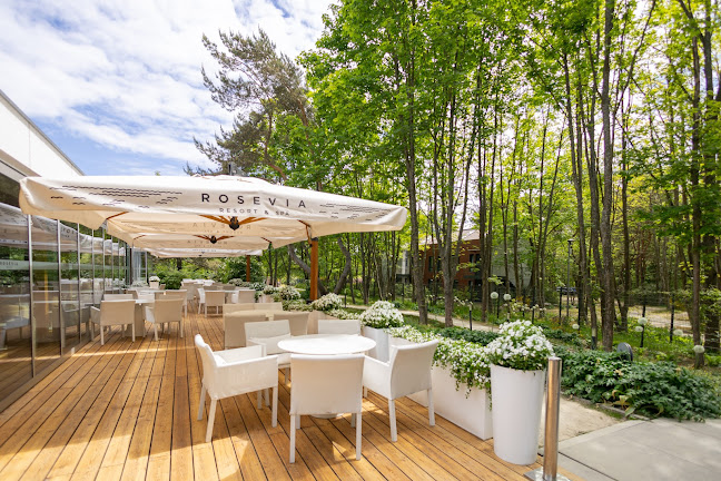 Opinii despre Restauracja Natura în Rozewie - Gastronomia