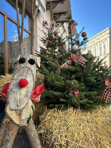 Comentarii opinii despre Kawiarnia Sofa