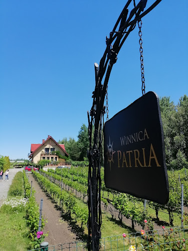 Winnica PATRIA - Gastronomia