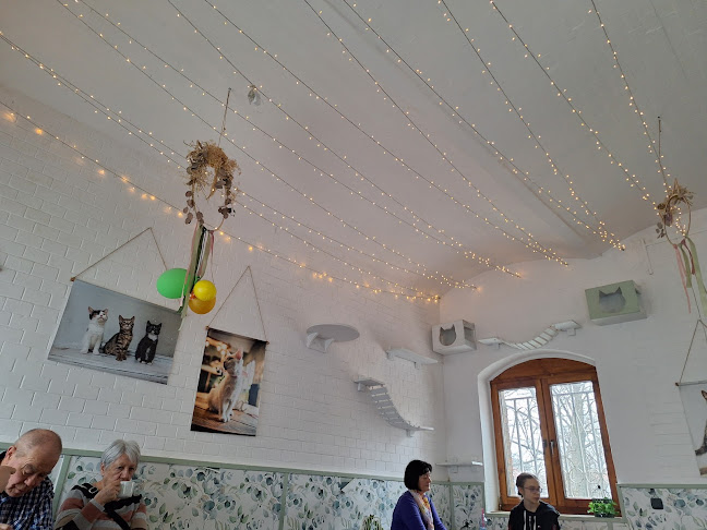 Kocia Kawiarnia Mruczkowo - Gliwice(7+) - Gastronomia