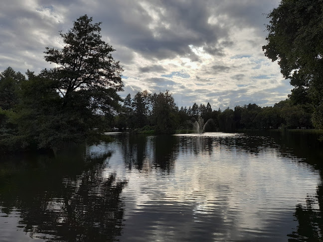 Comentarii opinii despre Lody Tradycyjne. W. Bachta