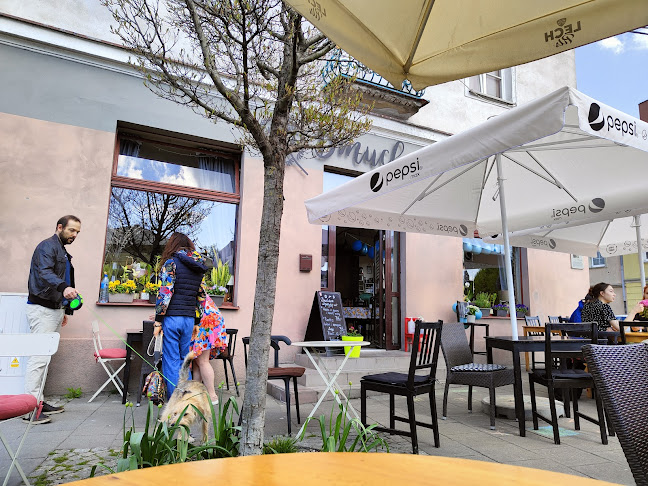 Opinii despre Restauracja Dmuchawce în Poznań - Gastronomia