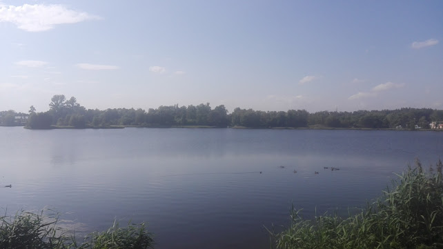 Piekarnia S.C. Wilibald Dziwoki Mateusz Dziwoki Marzena Szweda - Gastronomia