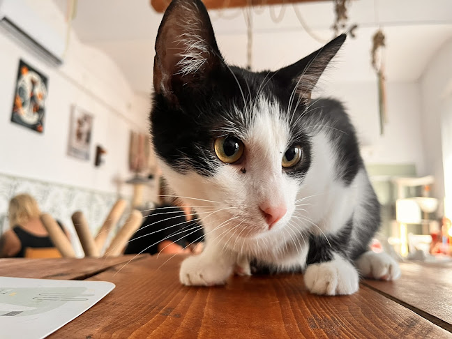 Dworcowa 52A, 44-100 Gliwice