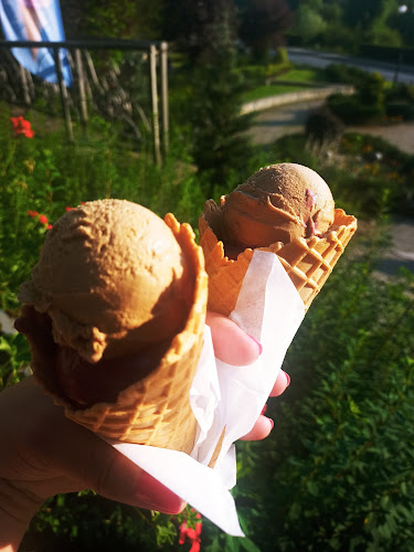 Comentarii opinii despre Pijalnia Artystyczna w Piwnicznej-Zdroju