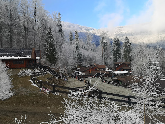 Chata Wuja Toma - Gastronomia