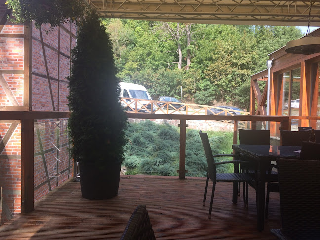 Comentarii opinii despre Diabelski Młyn