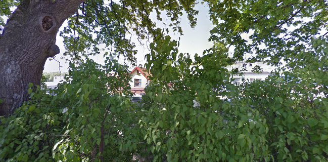 Restauracja & Hotelik LUIS