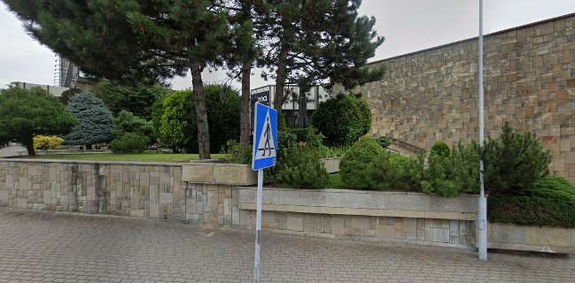 Scena Bar & Restaurant