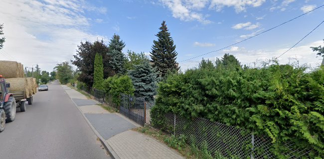 Dębiec Paweł. Piekarnictwo, cukiernictwo