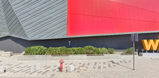 Prawdziwe Lody Aleja Bielany