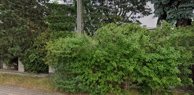 Iwan Anna. Usługi gastronomiczne