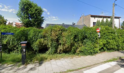 Dieta Domowa - catering dietetyczny