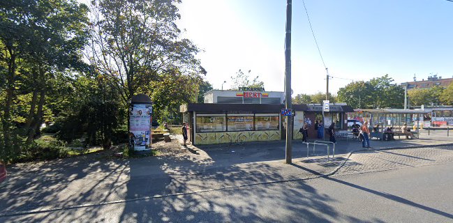 Lody Naturalne z Krzyckiej