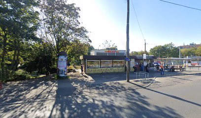 Lody Naturalne z Krzyckiej