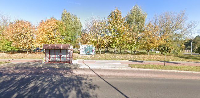 Opinii despre Lodo Chatka în Konin - Gastronomia