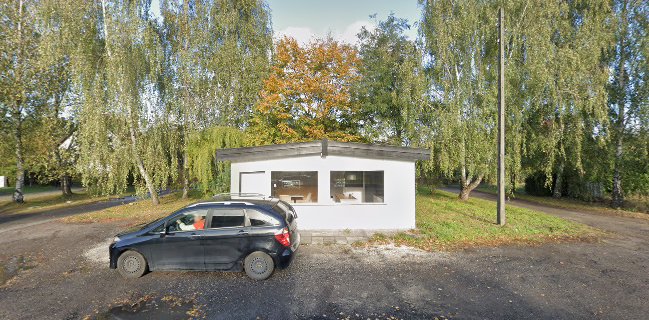 LODY Naturalne z Cytadeli-Szczepankowo