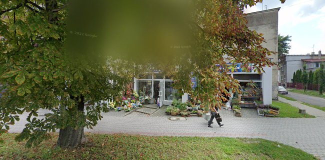 Opinii despre Piekarnia BŁAJAN - sklep firmowy (pieczywo na zakwasie) în Tarnów - Gastronomia