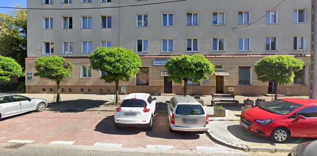 Duży Wybór Świeże Ryby