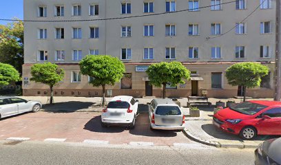 Duży Wybór Świeże Ryby